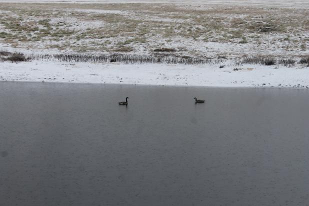 Winter weather hits hard but expected to continue. Photo by Amelia Monroe Carlson/The Bulletin-Times Article Image Alt Text