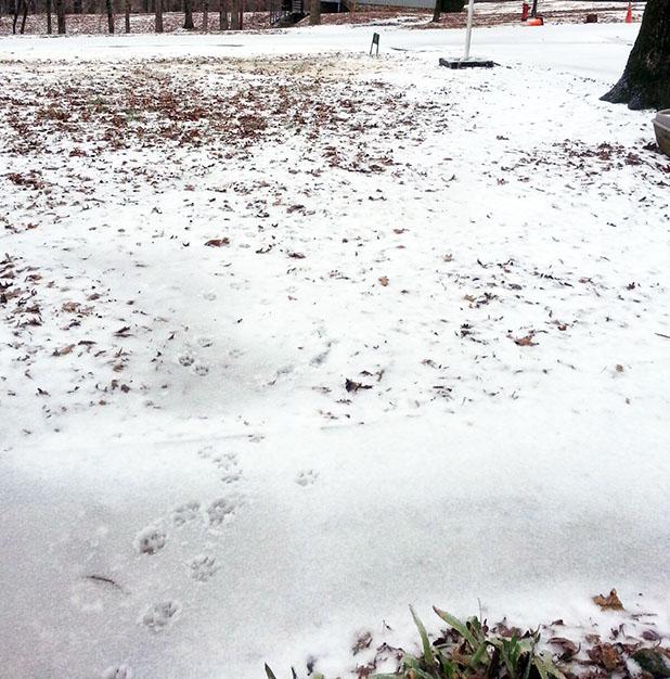 Resisting 'Old Man Winter' Article Image Alt Text