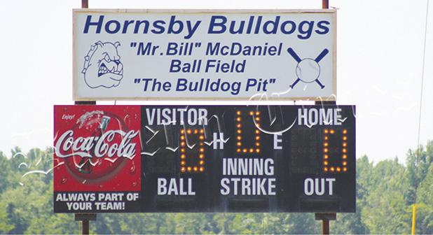 A Thank You for a Ballpark Article Image Alt Text