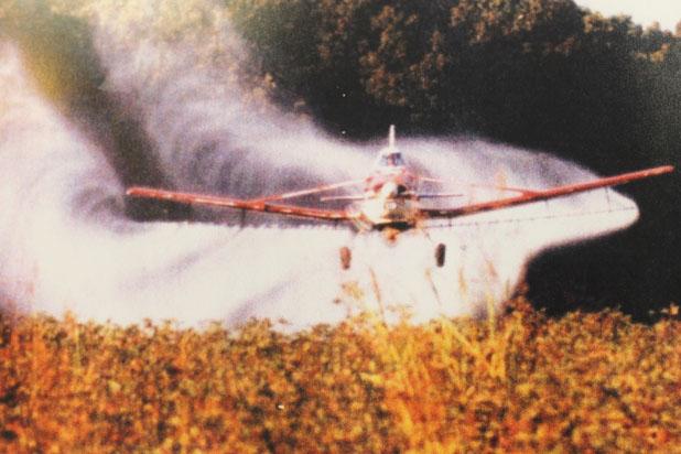 James Taylor is pictured crop dusting in 2002- 2003. Taylor spent 43 years crop dusting and was killed when his plane crashed on Wednesday, August 27. 