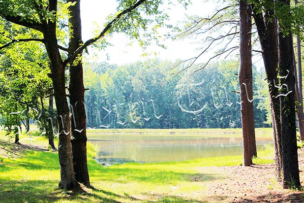 Bolivar to Open Pleasant Run Creek Park Photo by Jessica Simmons.