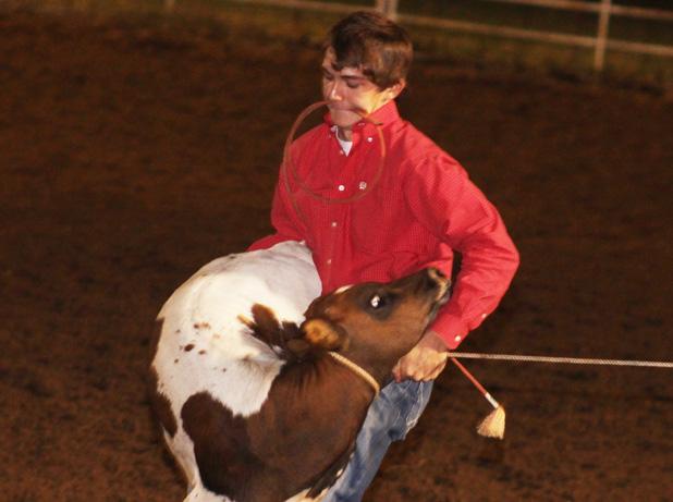 Deep South rodeo brought lots of action to Bolivar Ross Mitchell, Hardeman County native, competes in tie down roping during Saturday’s rodeo in Bolivar.