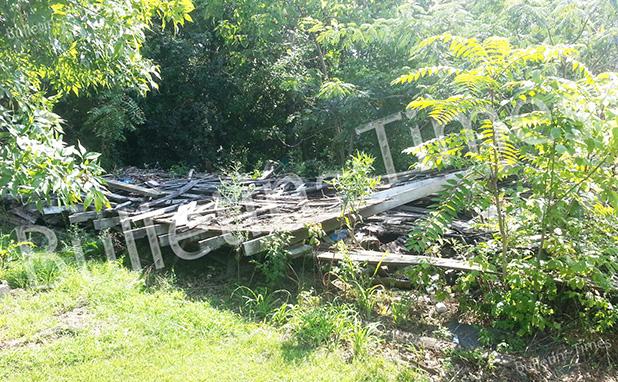 Saulsbury Mayor and Board pass blight ordinance In an effort to eliminate potential health hazards, such as the collapsed house shown here, the Saulsbury Mayor and Board of Aldermen are in process of passing Property Maintenance Regulations. These will allow the city to remove this and similar problems if property owners do not take corrective action.