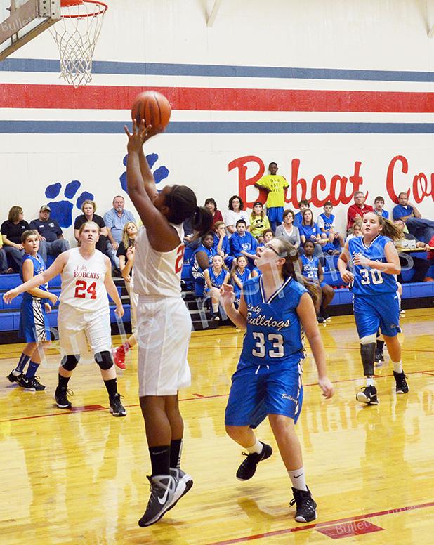 Hornsby Bulldogs visit Bobcat Country Article Image Alt Text