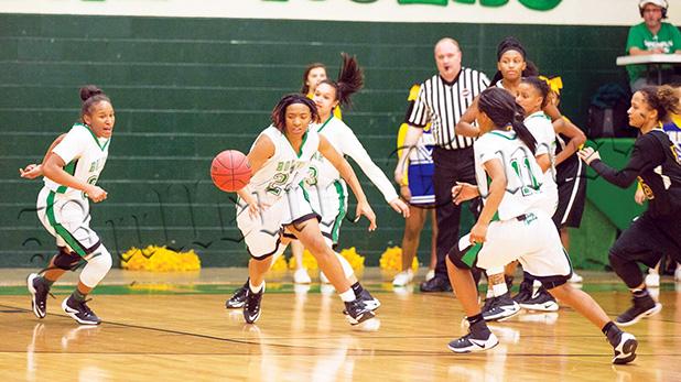 Two Wins for the Lady Tigers in Playoffs Article Image Alt Text