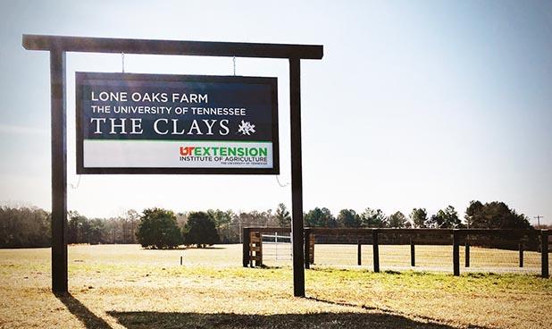 Photo courtesy of The Clays.