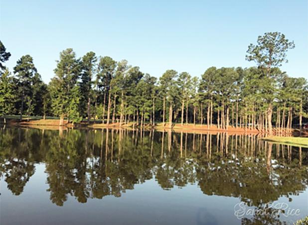 Photo of Pleasant Run Creek Park by Sarah Rice
