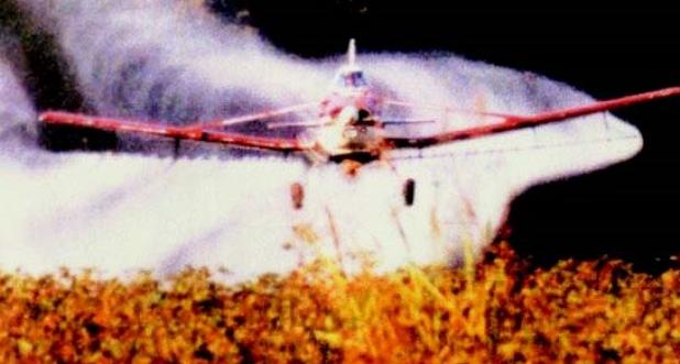 James Taylor is pictured crop dusting in 2002- 2003. Taylor spent 43 years crop dusting and was killed when his plane crashed on Wednesday, August 27.