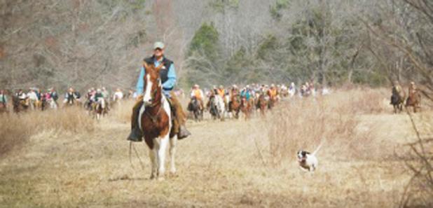 National Bird Dog Museum hosts events Article Image Alt Text