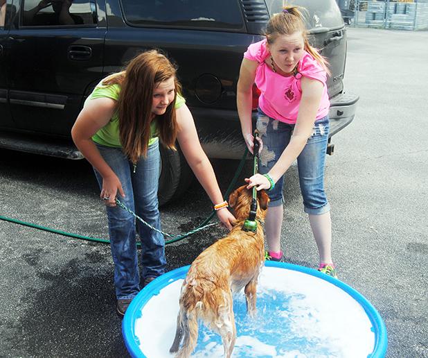 Adoptable Animals holds dog wash Charley Weaver and Charly Green wash Partner during Saturday's dog wash.