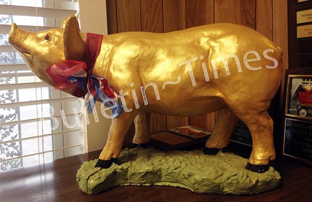 The Golden Piggy has lived in Grand Junction’s City Hall for the past two years. Some talented BBQ teams are lining up to make sure there will be no “Threepeat”. Photo by Lorie Rice.