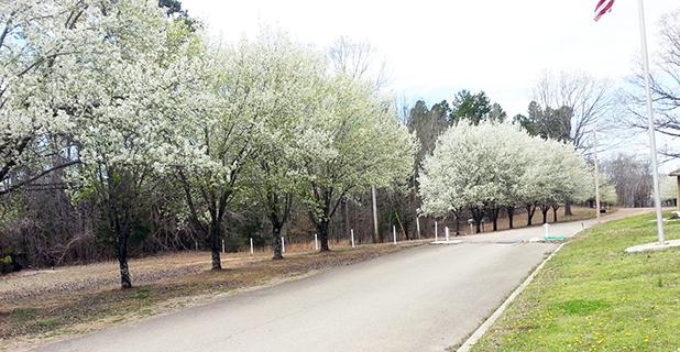 Spring arrives at Grand Valley Lakes Article Image Alt Text