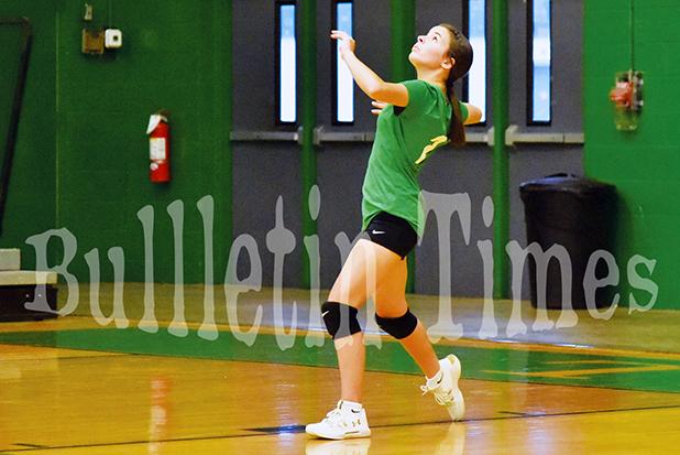 Hickey Makes All-District