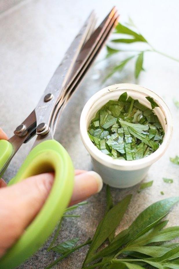 Tips on how to reuse your K-Cups Article Image Alt Text