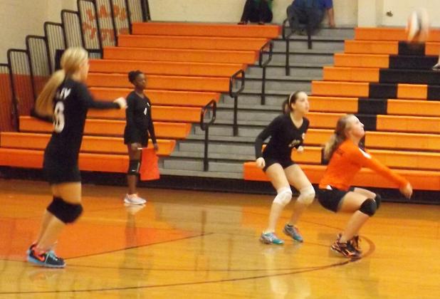 MHS back row specialist, Kayleigh Lanier prepares to receive the serve from Madison at Tuesday night’s game. Pictured (l-r): Haley Maccarino, Talandra Sain (line judge), Chloe Kardenas and Kayleigh Lanier. Lanier has proved to be a valuable asset for the Lady Tigers contributing to both JV and Varsity teams.