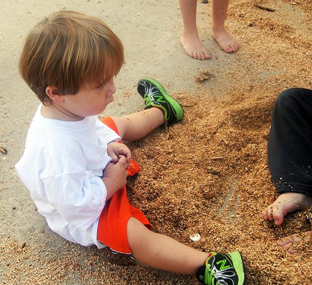 Weather perfect for patriotic festival Eli Woods digs for quarters in the sawdust pile at the Children’s Patriotic Festival.