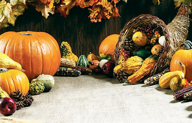Thanksgiving rooted in English tradition Article Image Alt Text