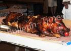 A whole hog was the main course for the first camp at the Lone Oaks 4-H and Rural Conference Center of Tennessee.