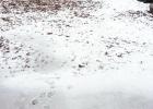 Resisting 'Old Man Winter' Article Image Alt Text