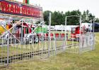 Forest Festival Arrives
