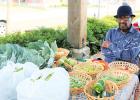 Lester Cox at his stall at the Bolivar Farmers Market by Ginger Tester