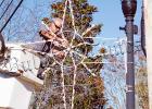 Ricky Galloway operates from the bucket truck to secure Christmas stars and snowflakes in Bolivar.