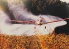James Taylor (pictured here crop dusting in 2002-2003) was killed in yesterday's plane crash on private property on PeaVine Road.  