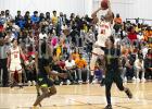 Tigers Defeat Tigers