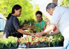 Master Gardener Gary Barrowclough assists customers at their annual plant sale on April 28.  Story and photos by Ginger Tester.