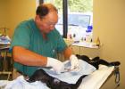 Dr. Frank Wilhite is shown performing spay surgery at the Old Hatchie Veterinary Clinic.