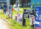 More Candidates=Less Voting? Article Image Alt Text