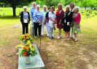 Article Image Alt Text