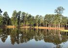 Photo of Pleasant Run Creek Park by Sarah Rice