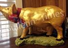 The Golden Piggy has lived in Grand Junction’s City Hall for the past two years. Some talented BBQ teams are lining up to make sure there will be no “Threepeat”. Photo by Lorie Rice.