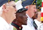 Veterans Day Special in This Issue Article Image Alt Text