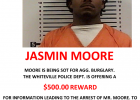 Article Image Alt Text